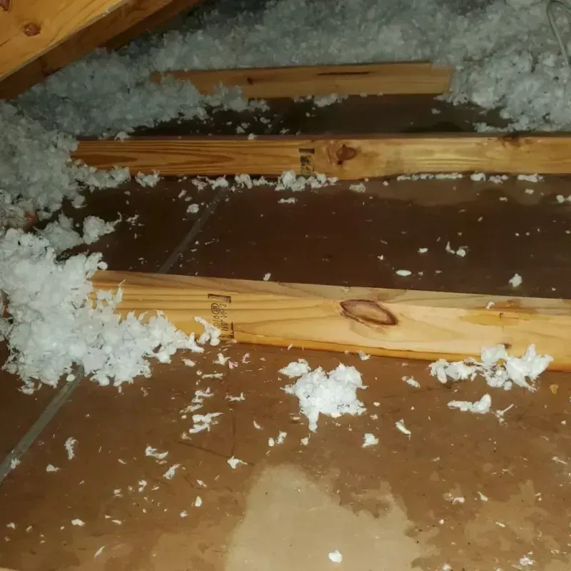 Attic Water Damage in Latah County, ID