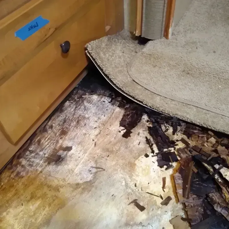 Wood Floor Water Damage in Latah County, ID